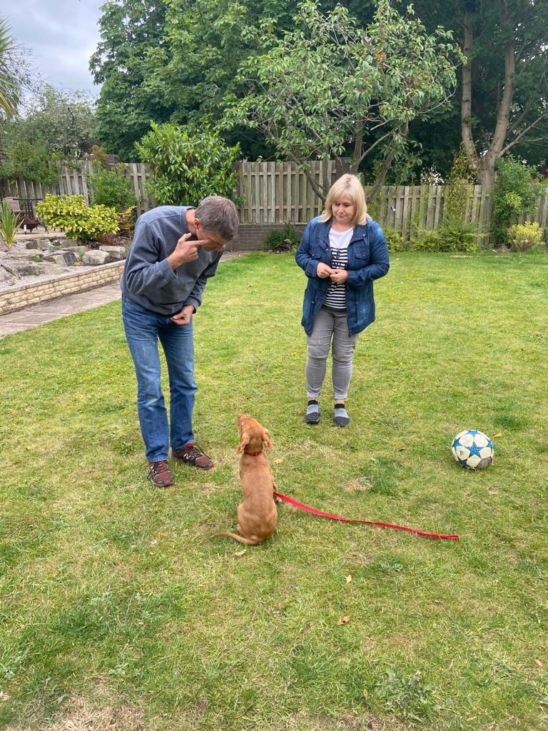 Elliot with his assistance dog Ripley