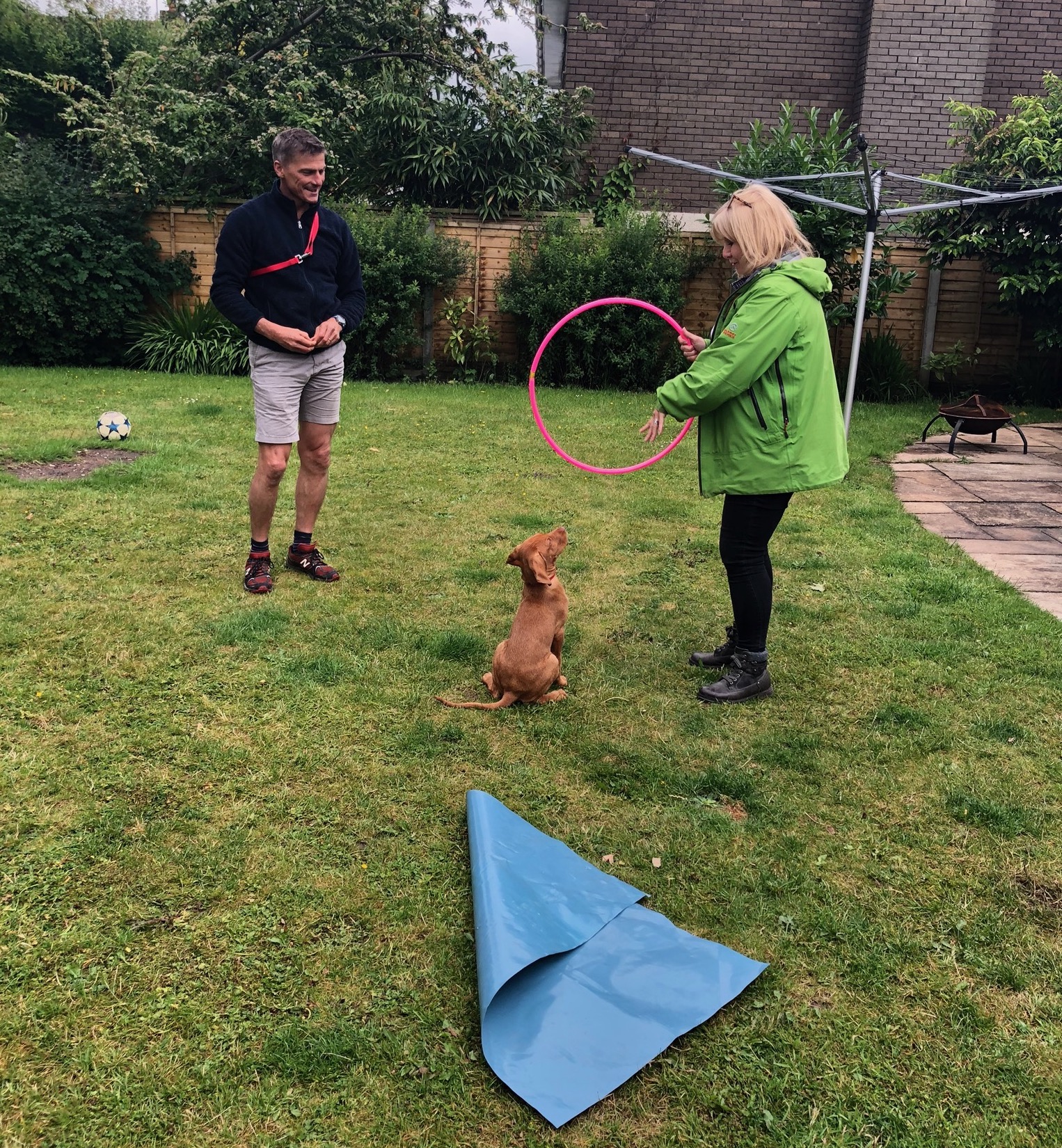 One of our puppies (Tilly) doing some puppy training